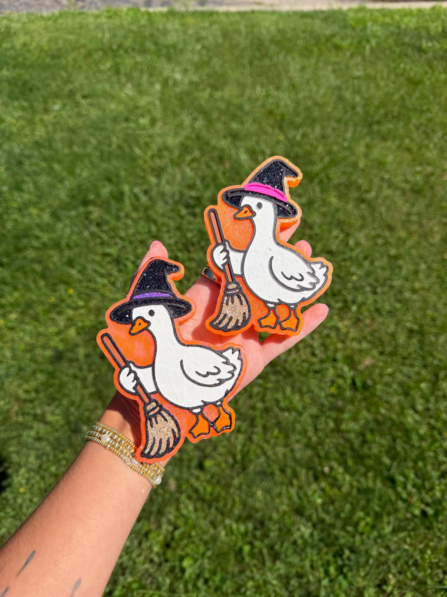 Witchy Goose